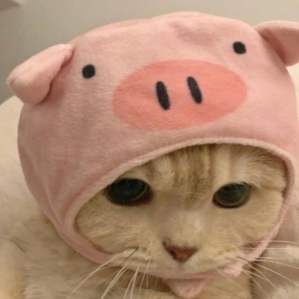 Meet your Posher, Gabriella